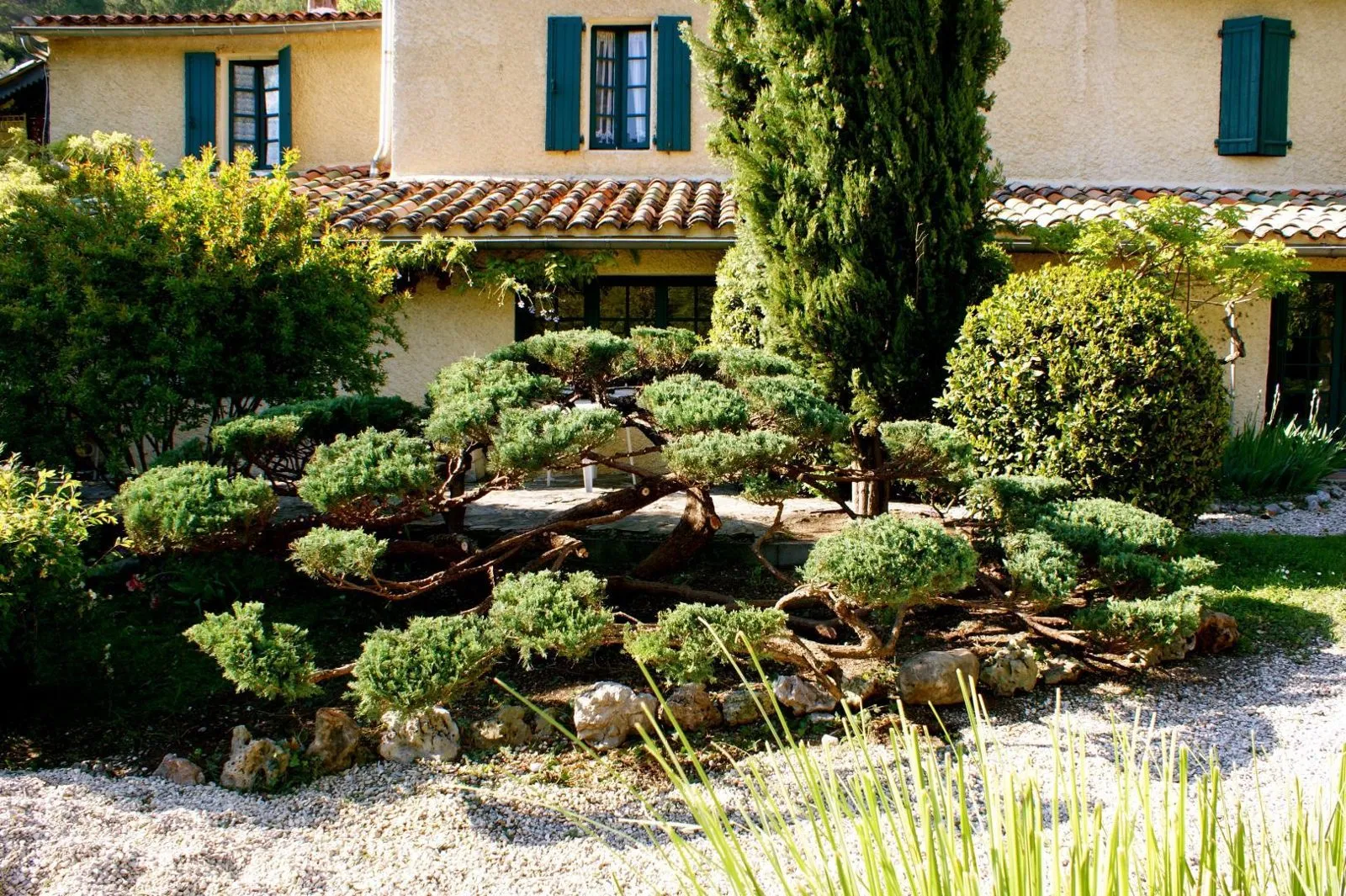 Démontage d’un arbre en jardin clos au Pays Basque