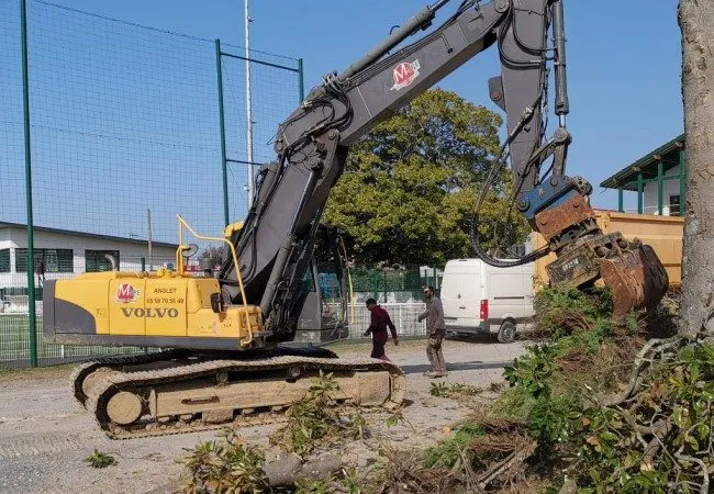 Dessouchage d’une souche d’arbre à la rogneuse