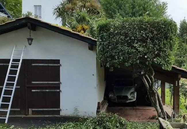 Entretien d’un jardin au Pays Basque : tonte et taille